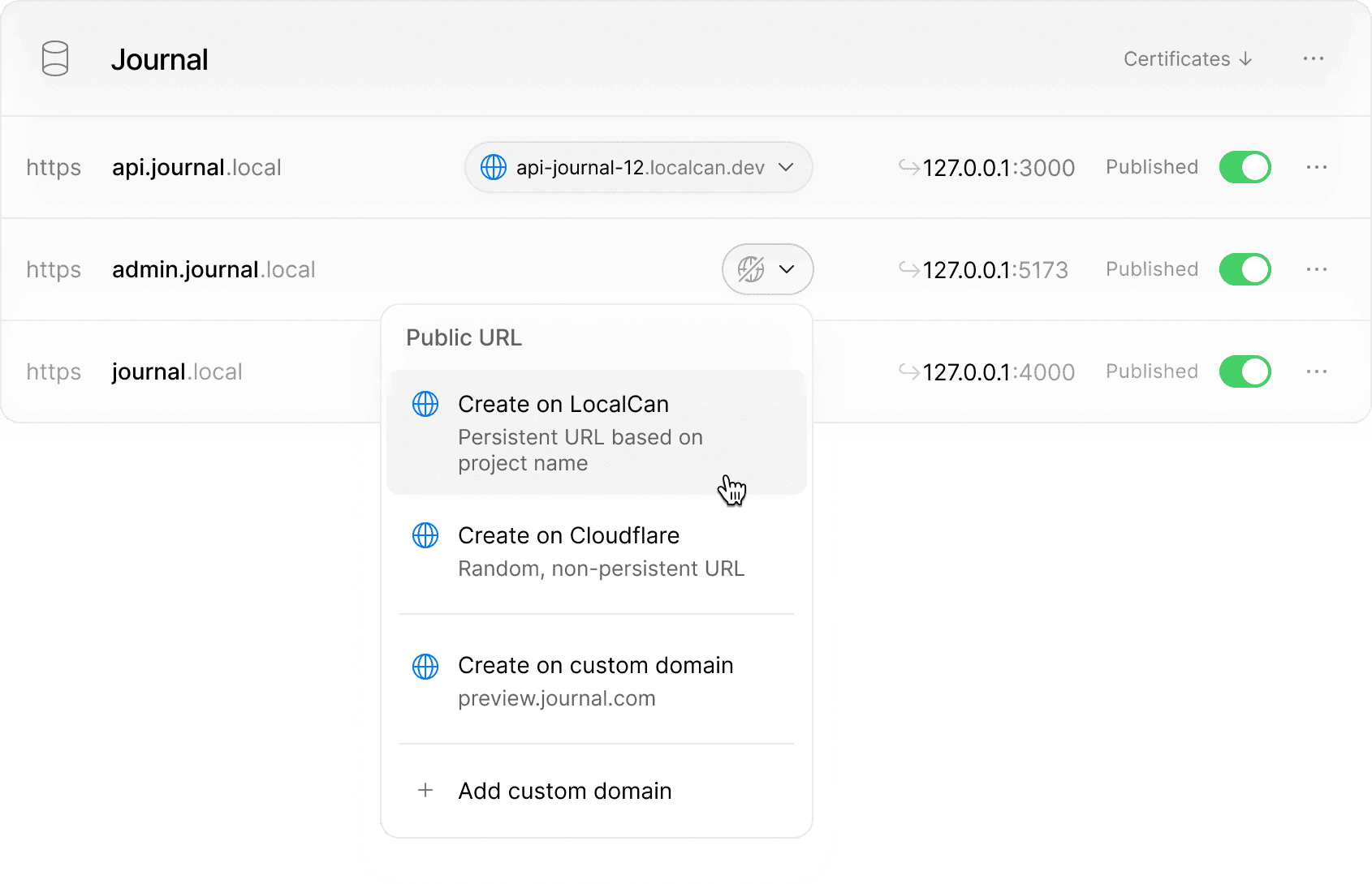 Local domains and persistent Public URLs